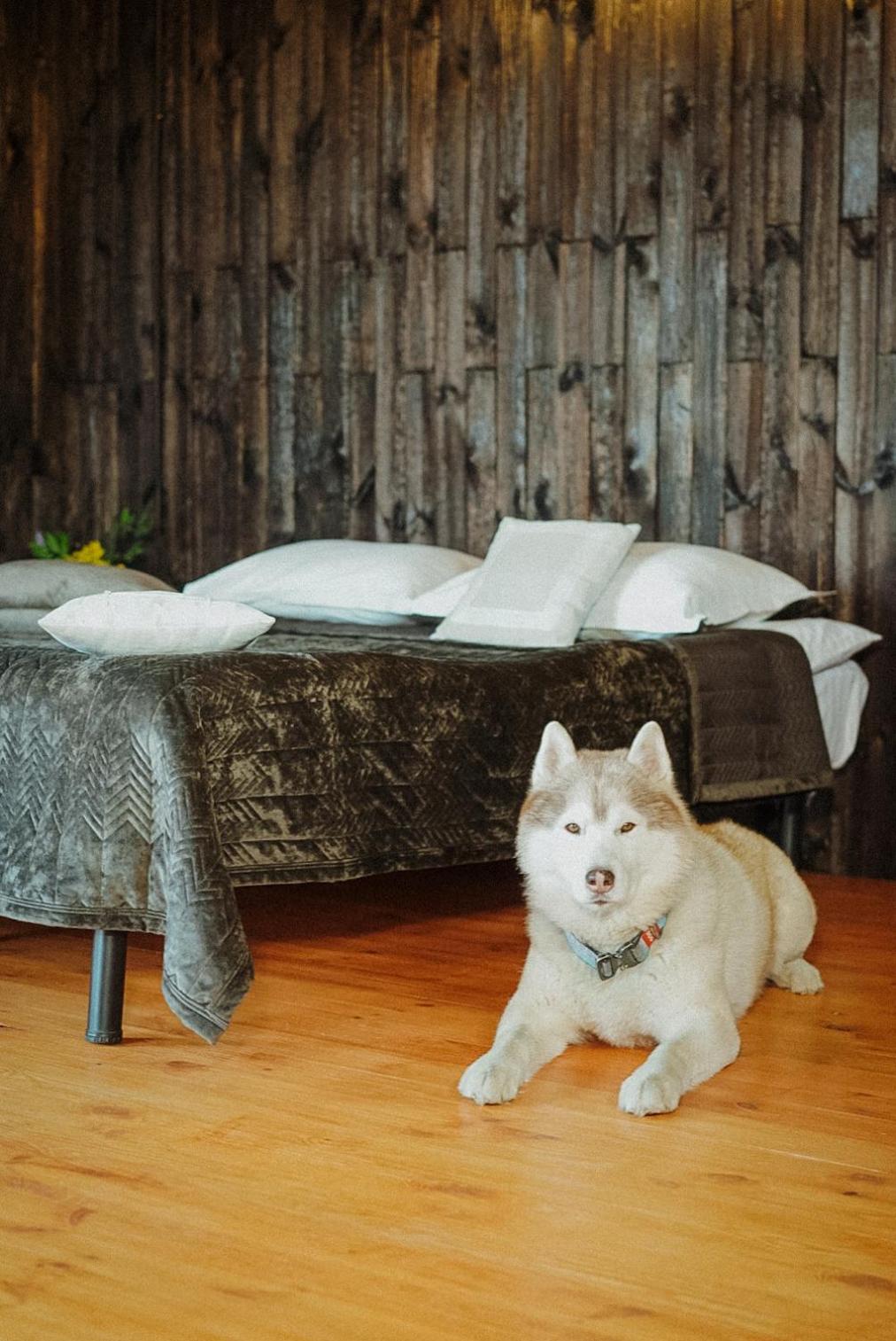 Долина Хюгге Hotel Chornomors'ke  Ngoại thất bức ảnh